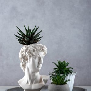 Classical Muse Planter