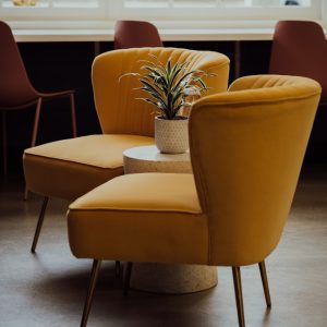 Monarch Velvet Accent Chair